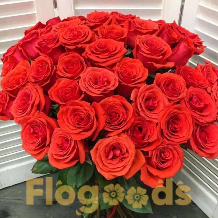 51 красная роза за 19 559 руб.